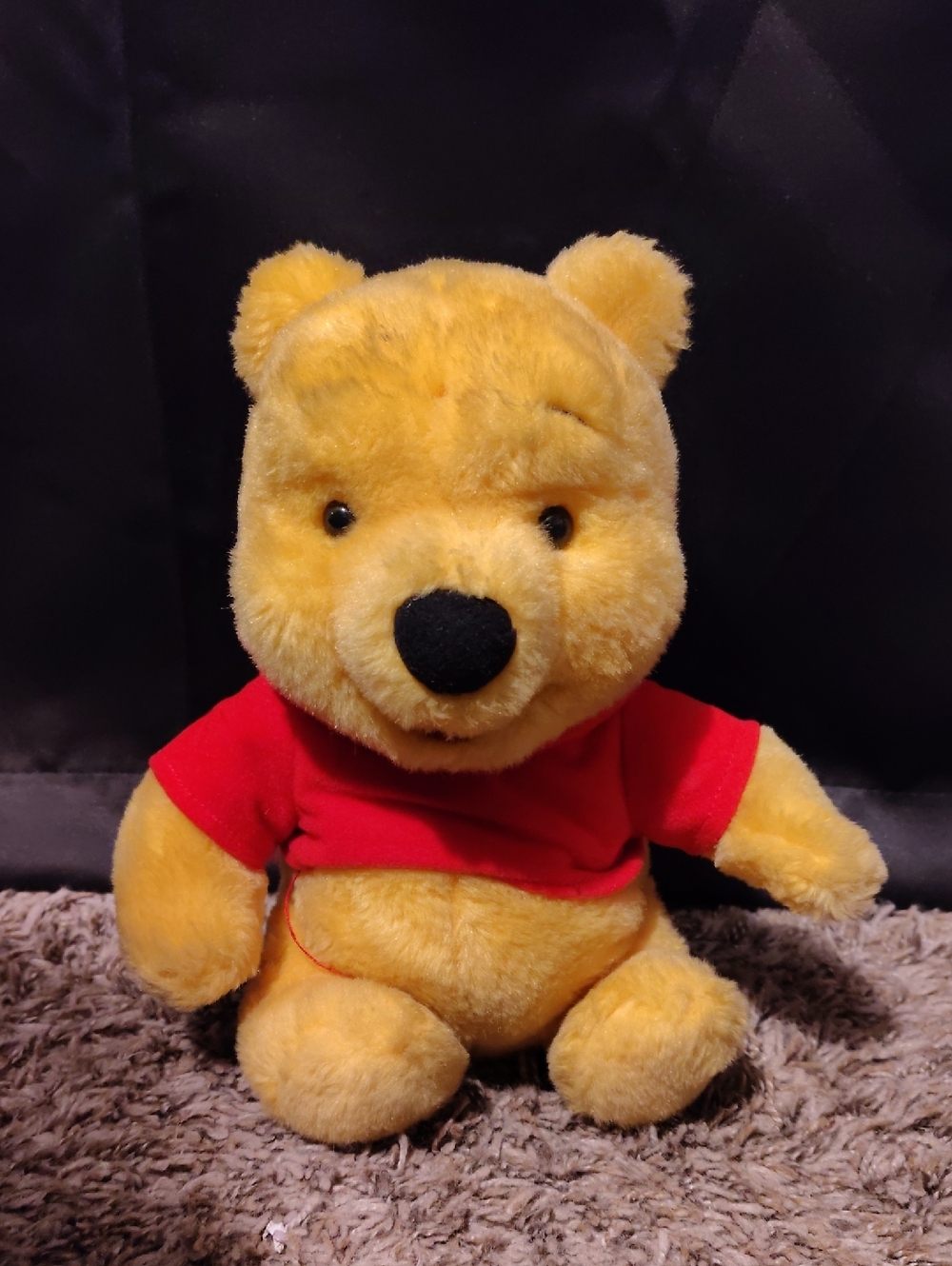 Chat Pals Pooh Bear